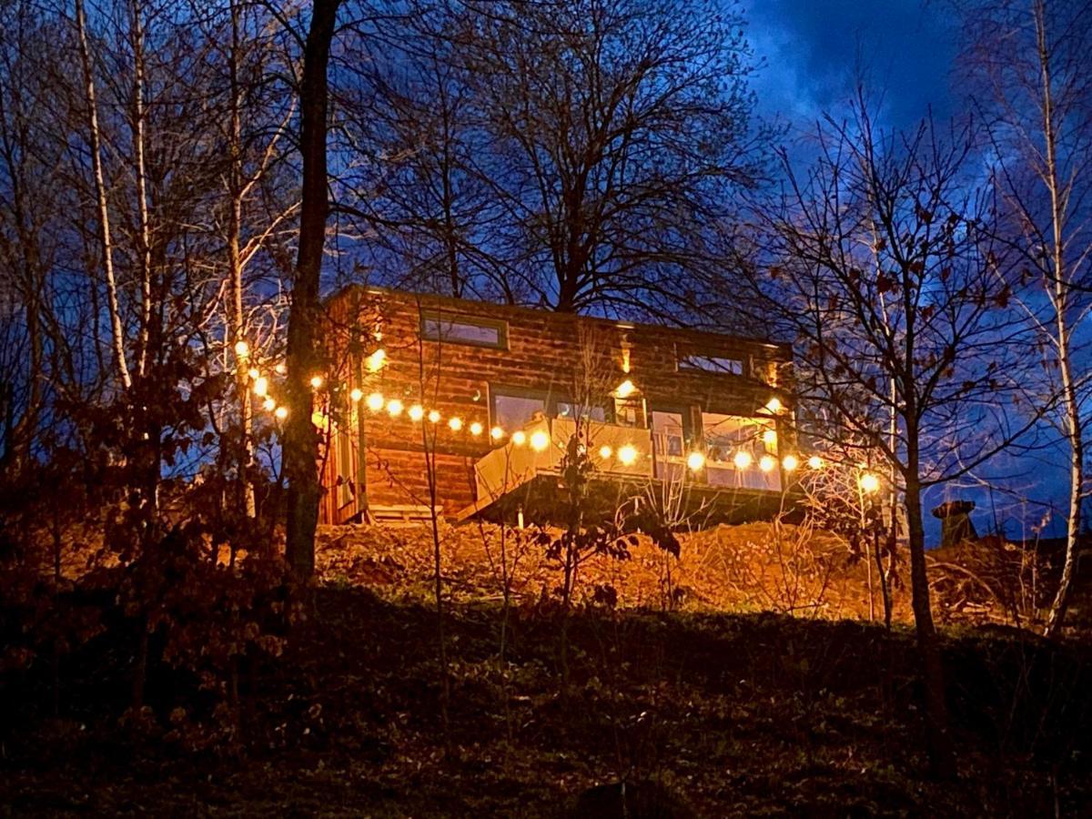 Campsite Coniferis Tomnatic (Bihor)